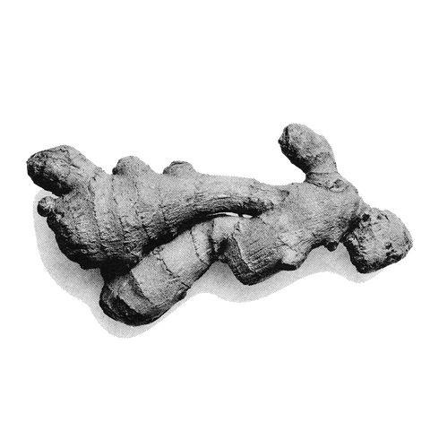 The Health Benefits of Consuming Ginger: Backed by Science