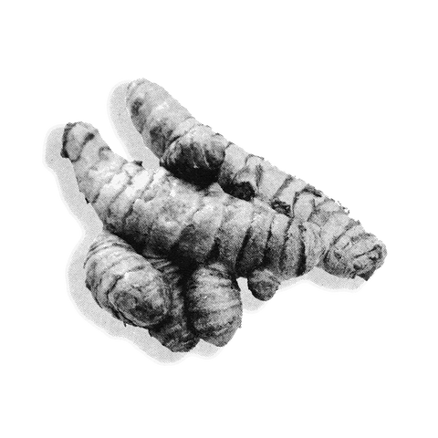 The Health Benefits of Consuming Turmeric: Backed by Science